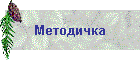 Методичка