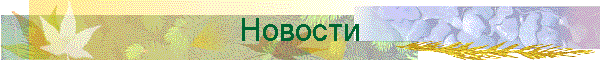 Новости