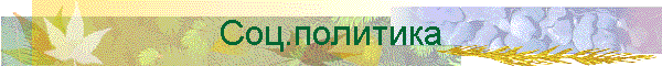 Соц.политика